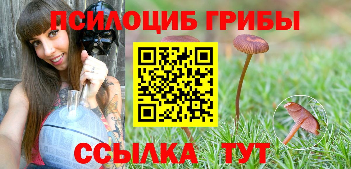 Галлюциногенные грибы MAGIC MUSHROOMS  Вход с VPN  Ростов-на-Дону 